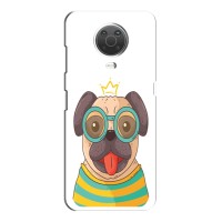 Бампер для Nokia G10 с картинкой "Песики" (Собака Король)