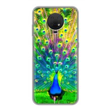 Чохол з пташками на Nokia G10 (VPrint) (Яскравий Павлин)
