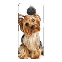 Чехол (ТПУ) Милые собачки для Nokia G10 (Собака Терьер)