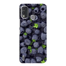 Чехлы с Фруктами для Nokia G11 Plus (VPrint) (Ежевика)