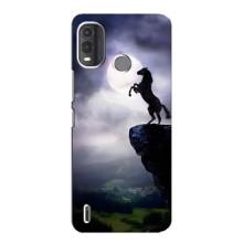 Чохли з зображенням різних тварин на Nokia G11 Plus (Кінь)