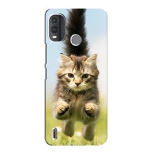 Чехлы с Котиками для Nokia G11 Plus (VPrint) (Прыжок кота)