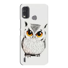 Чехол с птицами на Nokia G11 Plus (VPrint) (Милая Сова)
