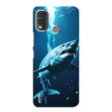 Чехол с картинкой «Хищники» для Nokia G11 Plus – Акула