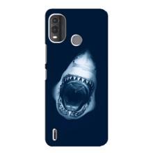 Силіконовий бампер з картинкою звірів для Nokia G11 Plus (Пащу Акули)