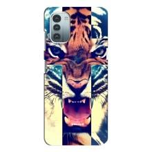 Чехлы с изображением разных животных для Nokia G11 (Яркий Тигр)