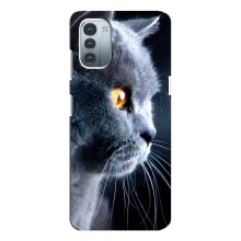 Чохли з Котиками для Nokia G11 (VPrint) (Сірий Кіт)