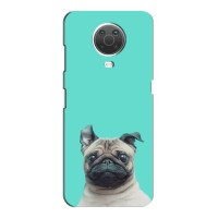 Бампер для Nokia G20 с картинкой "Песики" (Собака Мопс)
