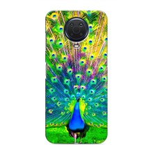 Чохол з пташками на Nokia G20 (VPrint) (Яскравий Павлин)