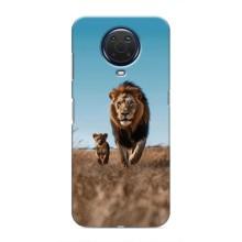 Чехол Король лев на Нокиа G20 – Мусафа и Симба