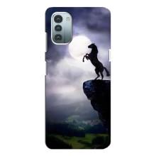 Чохли з зображенням різних тварин на Nokia G21 (Кінь)