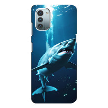 Чехол с картинкой «Хищники» для Nokia G21 (Акула)