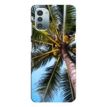 Силиконовый чехол с КАРТИНКАМИ лето для Nokia G21 (AlphaPrint) – Пальма