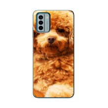 Чохли з собаками для Nokia G22 (VPrint) (Цуценя Бішон)