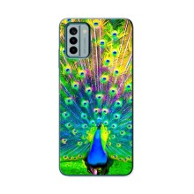 Чохол з пташками на Nokia G22 (VPrint) (Яскравий Павлин)