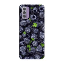 Чохли з фруктами для Nokia G42 (VPrint) (Ожина)