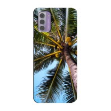 Силіконовий чохол з КАРТИНКАМИ літо для Nokia G42 (AlphaPrint) (Пальма)