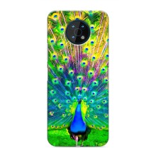 Чехол с птицами на Nokia G50 (VPrint) (Яркий Павлин)