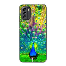 Чехол с птицами на Nokia G60 (VPrint) (Яркий Павлин)
