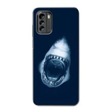 Силіконовий бампер з картинкою звірів для Nokia G60 (Пащу Акули)