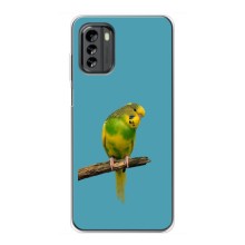 Силиконовый чехол с птичкой на Nokia G60 – Попугайчик
