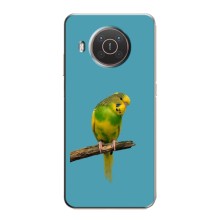 Силиконовый чехол с птичкой на Nokia X10 – Попугайчик