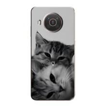 Чехол с рисунком кот на Nokia X20 – Пара котов