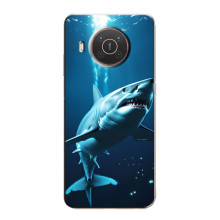 Чехол с картинкой «Хищники» для Nokia X20 – Акула