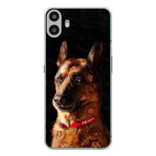 Чехлы с картинками животных Nothing CMF Phone 1 (Овчарка)