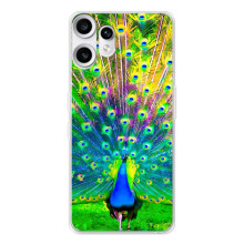 Чехол с птицами на Nothing CMF Phone 2 Pro (VPrint) (Яркий Павлин)