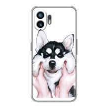 Бампер для Nothing Phone 2 с картинкой "Песики" – Собака Хаски
