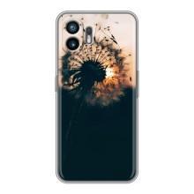 Силиконовый Чехол с одуванчиками на Nothing Phone 2 – Красивый одуванчик