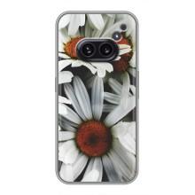 Чехол с ромашками на Nothing Phone 2a – Цветы Ромашки