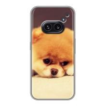 Чехол (ТПУ) Милые собачки для Nothing Phone 2a – Померанский шпиц