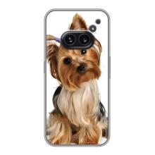Чехол (ТПУ) Милые собачки для Nothing Phone 2a – Собака Терьер