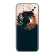 Силиконовый Чехол с одуванчиками на Nothing Phone 2a – Красивый одуванчик