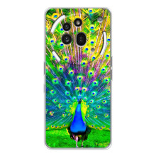 Чехол с птицами на Nothing Phone (3a) Pro (VPrint) – Яркий Павлин