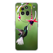 Силіконовий бампер з птичкою на Nothing Phone (3a) Pro – Калібрі