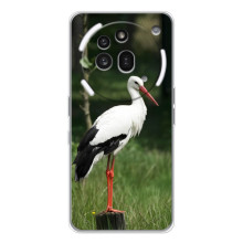 Силіконовий бампер з птичкою на Nothing Phone (3a) Pro – Лелека