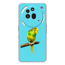Силіконовий бампер з птичкою на Nothing Phone (3a) Pro – Попугайчик