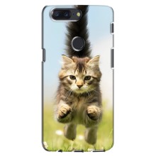 Чехлы с Котиками для One Plus 5T (VPrint) (Прыжок кота)