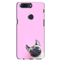 Бампер для One Plus 5T с картинкой "Песики" – Собака на розовом