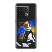 Чехлы с картинкой собаки Патрон для OnePlus 10 Pro (AlphaPrint) (Патрон собачка)