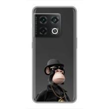 Чехлы с Обезьянами NFT для OnePlus 10 Pro (AlphaPrint) (Обезьяна NFT)