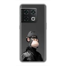 Чехлы с Обезьянами NFT для OnePlus 10 Pro (AlphaPrint) (стильная обезьяна NFT)