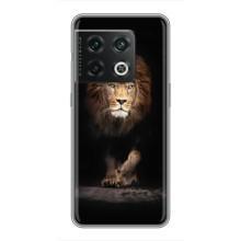 Чехол со Львом для OnePlus 10 Pro (VPrint) (Лев)