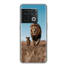 Чохол Король лев на ВанПлюс 10 Про – Мусафа і Сімба