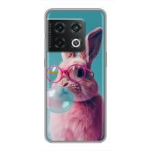 Чохол з принтом стильні тварини для ВанПлюс 10 Про (Кролик в окулярах)