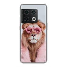 Чохол з принтом стильні тварини для ВанПлюс 10 Про (Лев в окулярах)