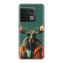 Чохол з принтом стильні тварини для ВанПлюс 10 Про (Лось з кавою)